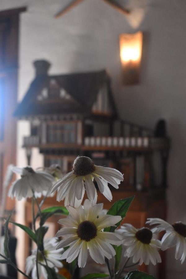 Casa Kisi Cottage, Rural Boutique Bed & Breakfast كولمينار المظهر الخارجي الصورة