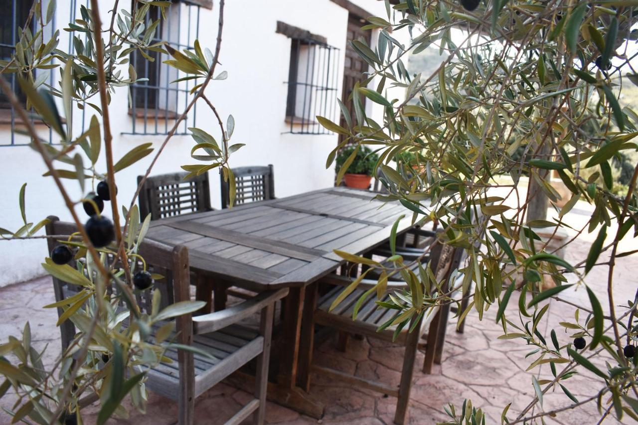 Casa Kisi Cottage, Rural Boutique Bed & Breakfast كولمينار المظهر الخارجي الصورة